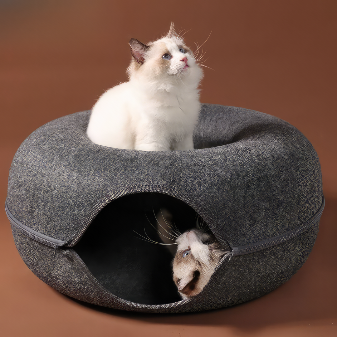 Cama Túnel para Gatos + Envío Gratis