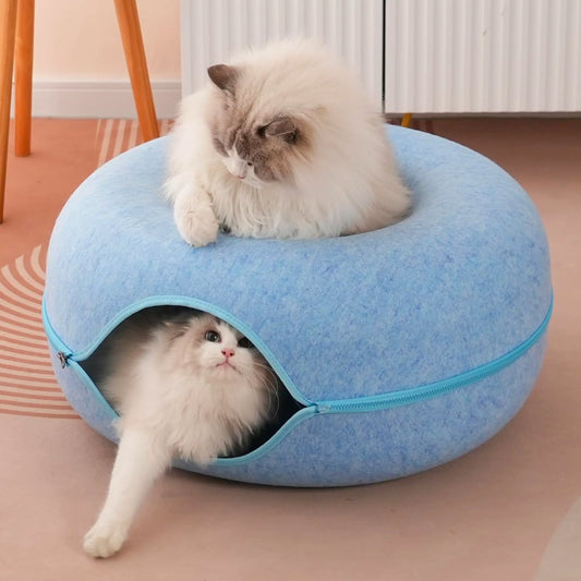 Cama Túnel para Gatos + Envío Gratis - ¡Clientes Frecuentes!