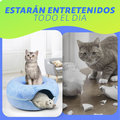 Cama Túnel para Gatos + Envío Gratis - ¡Clientes Frecuentes!