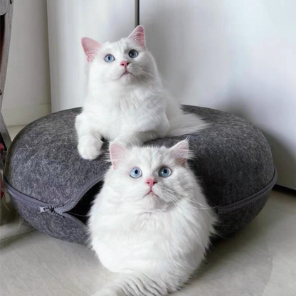 Cama Túnel para Gatos + Envío Gratis - ¡Clientes Frecuentes!