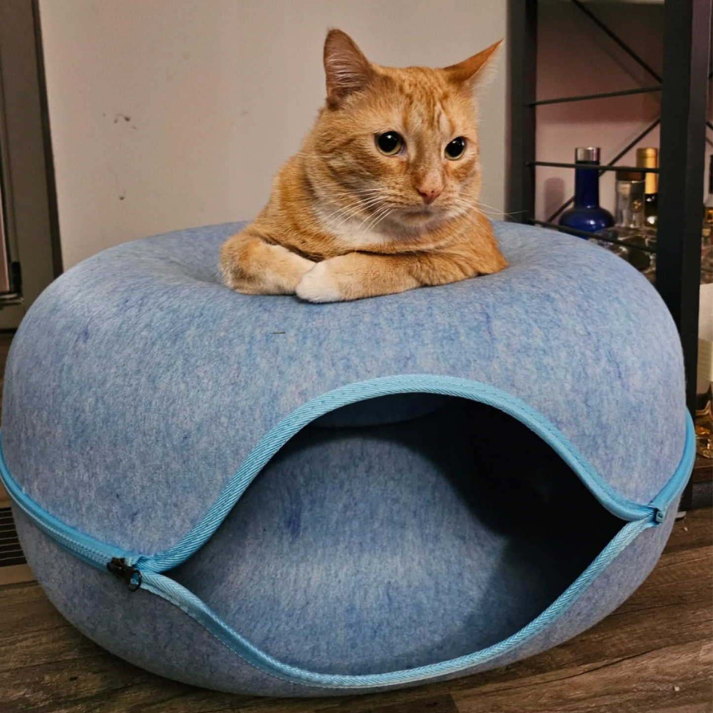 Cama Túnel para Gatos + Envío Gratis - ¡Clientes Frecuentes!