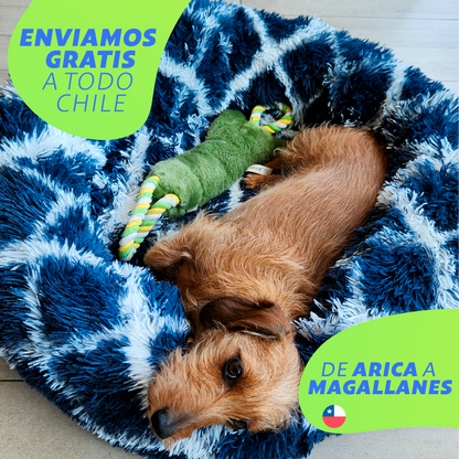 Cama Relajante Perros y Gatos Zoo©