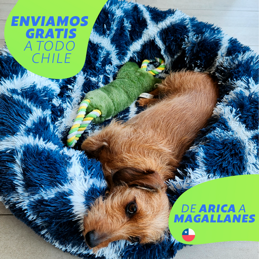 Cama Relajante Perros y Gatos Zoo©