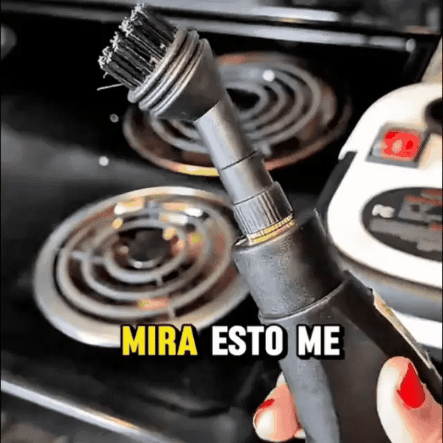 Seguro para tu familia y mascotas