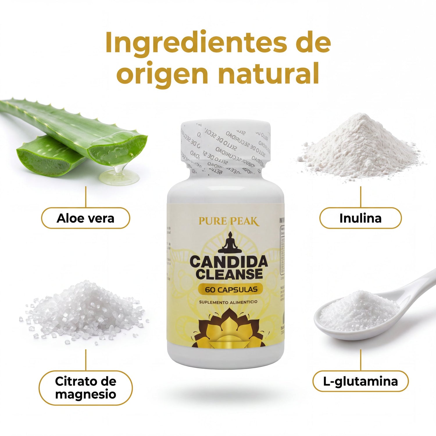 candida-cleanse-10-componentes