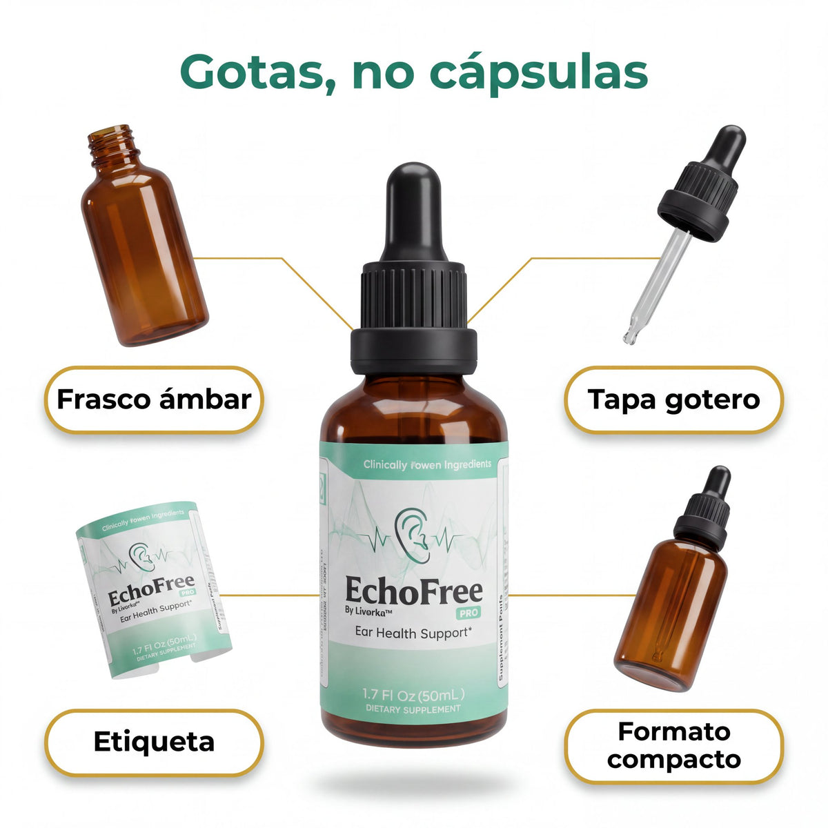echofree-04-componentes-v2
