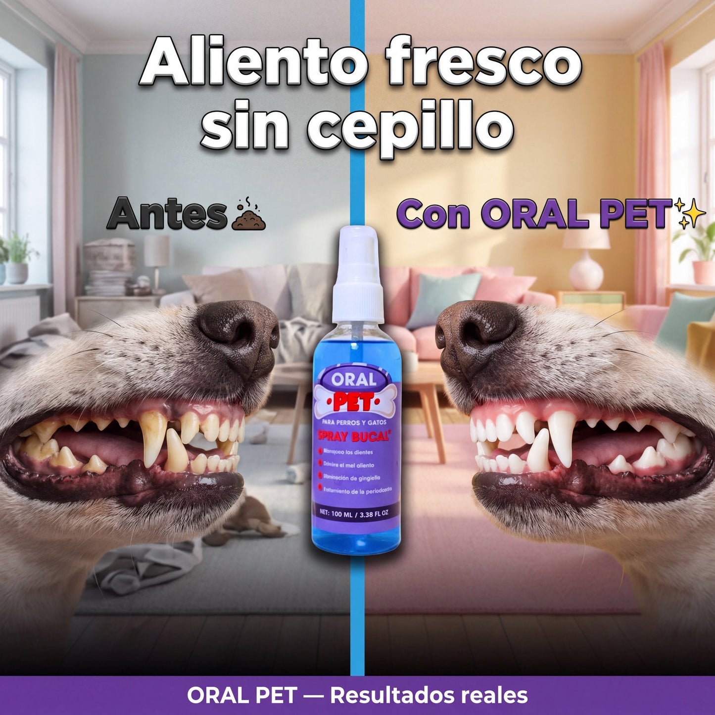 oral-pet-06-antesdespues