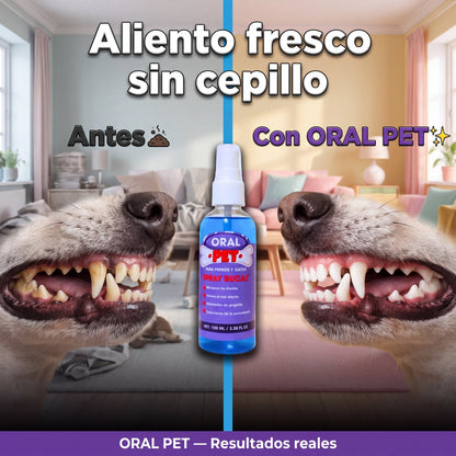 oral-pet-06-antesdespues