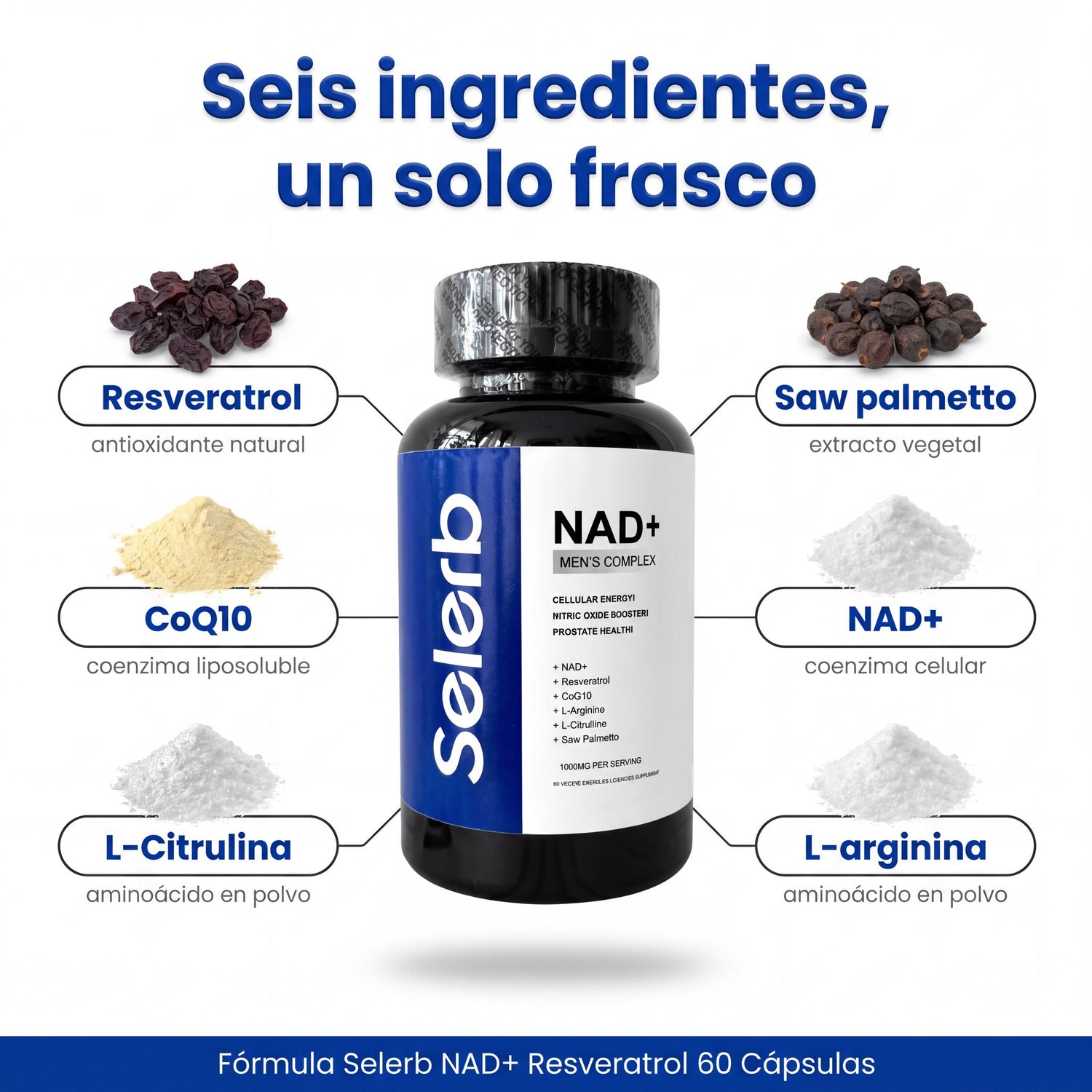 selerb-nad-04-componentes