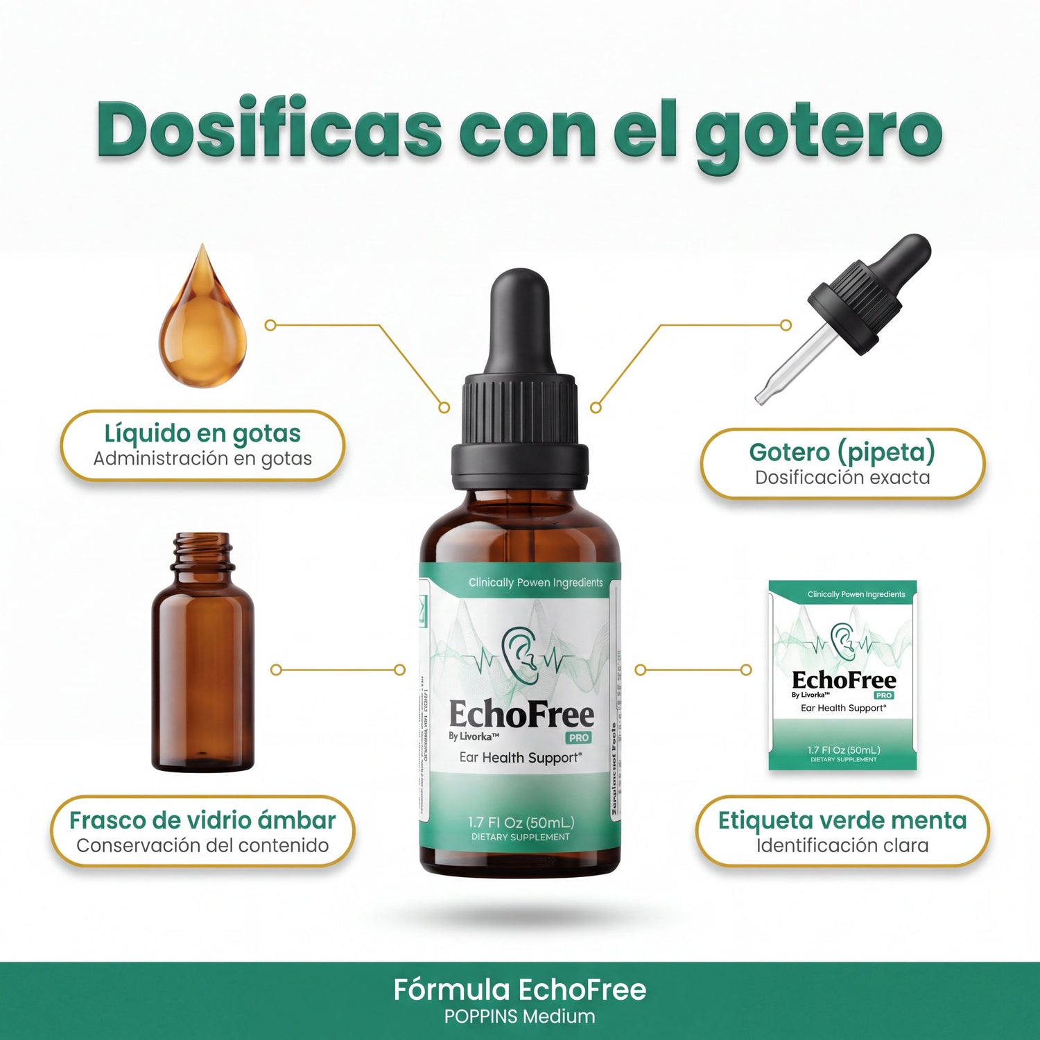 echofree-04-componentes