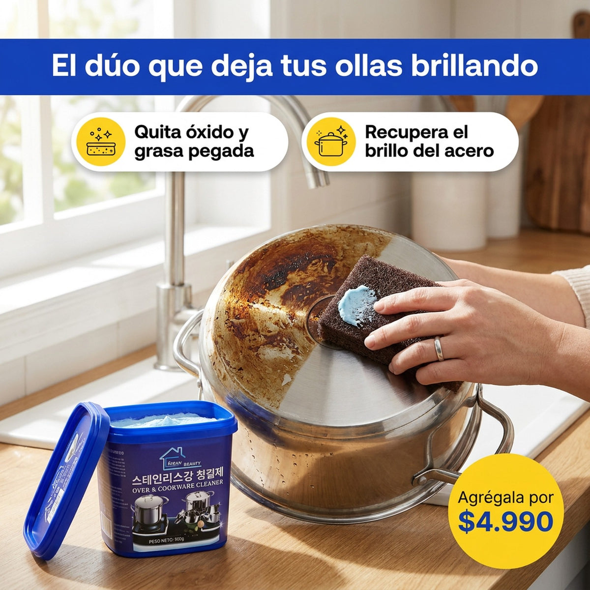 Esponja abrasiva para la pasta antigrasa